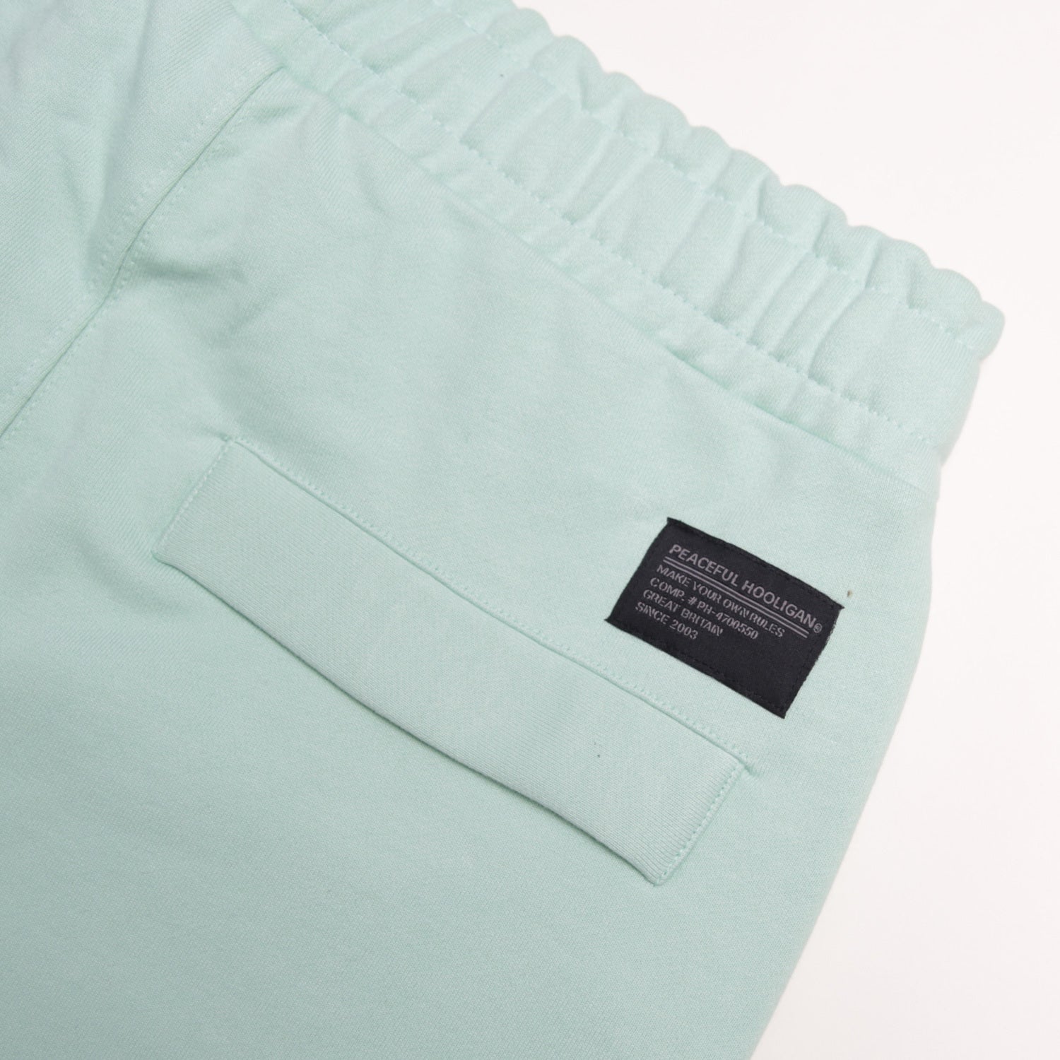 Duke Sweat Shorts Mint - Peaceful Hooligan