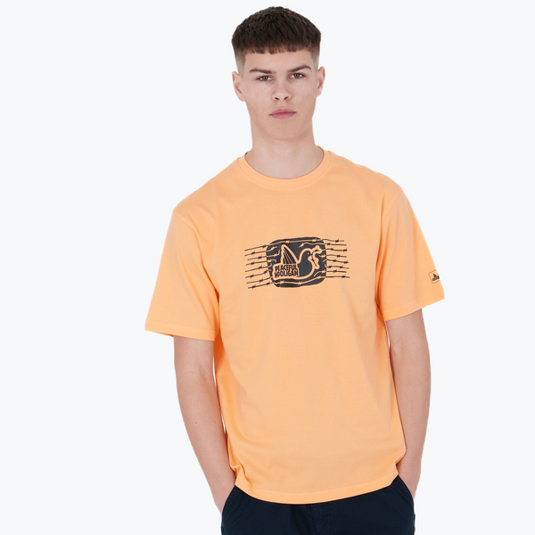 Independence T-Shirt Salmon - Peaceful Hooligan 