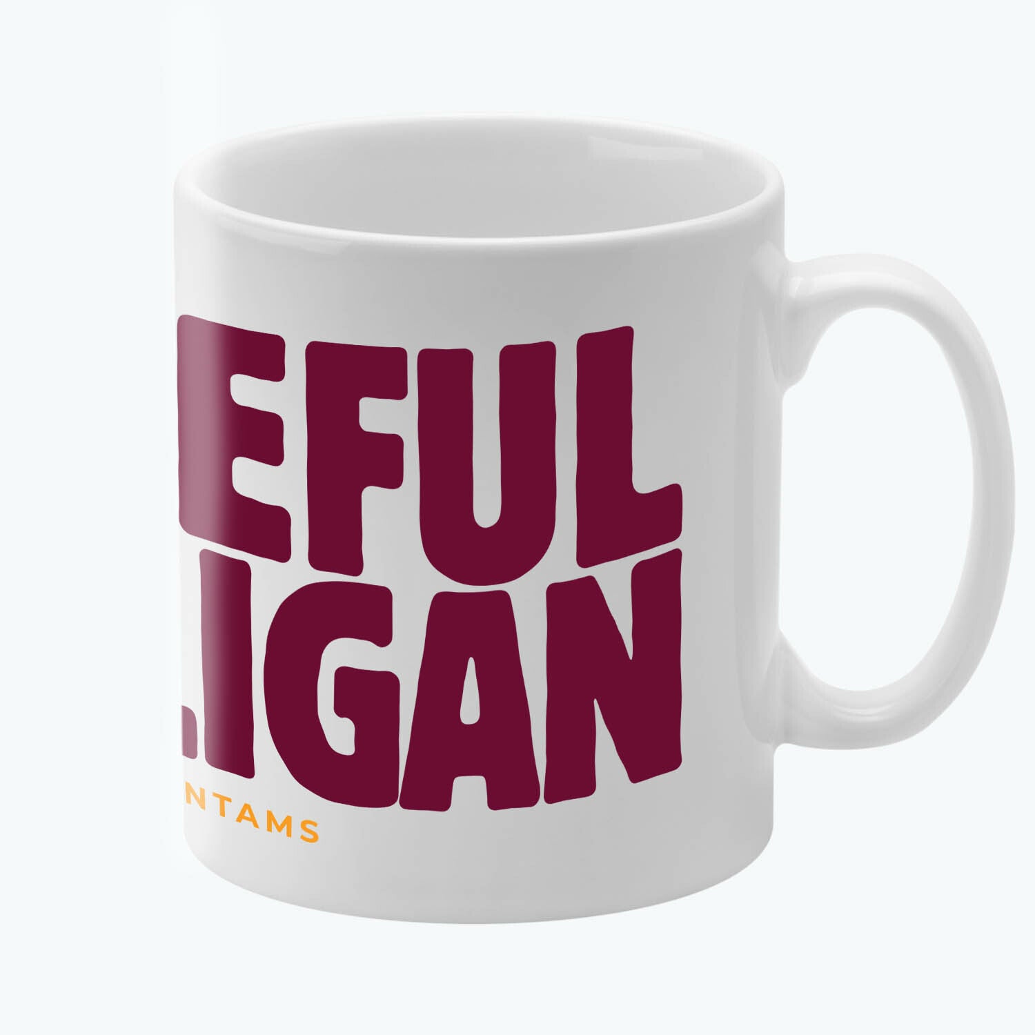 Bradford City Barb Mug