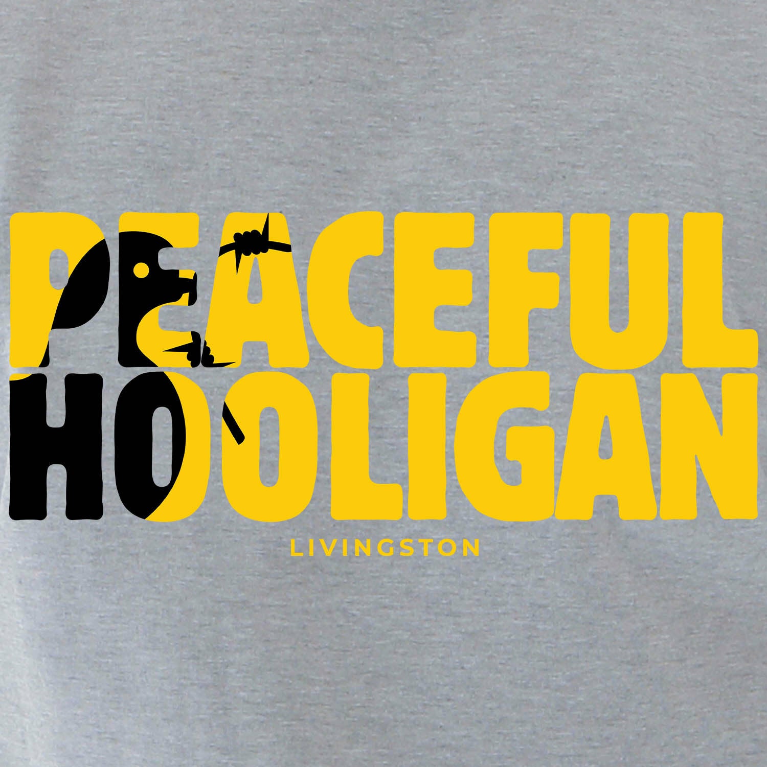 PODBARBLIVNGSTNATHLSWTMRLGREYBUND_Marl_Grey_Livingston_FC_Academical_Barb_2