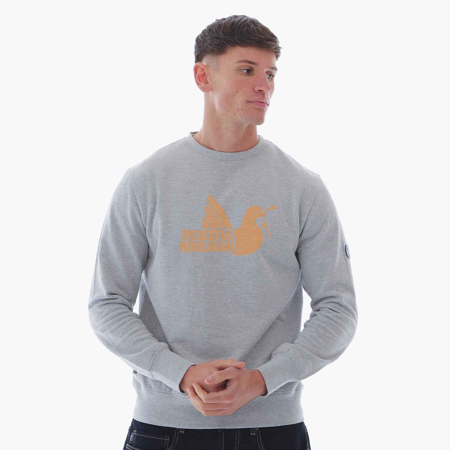PODDOVEBLACKPATHLSWTMRLGREYBUND_Marl_Grey_Blackpool_FC_Dove_Sweatshirt_1
