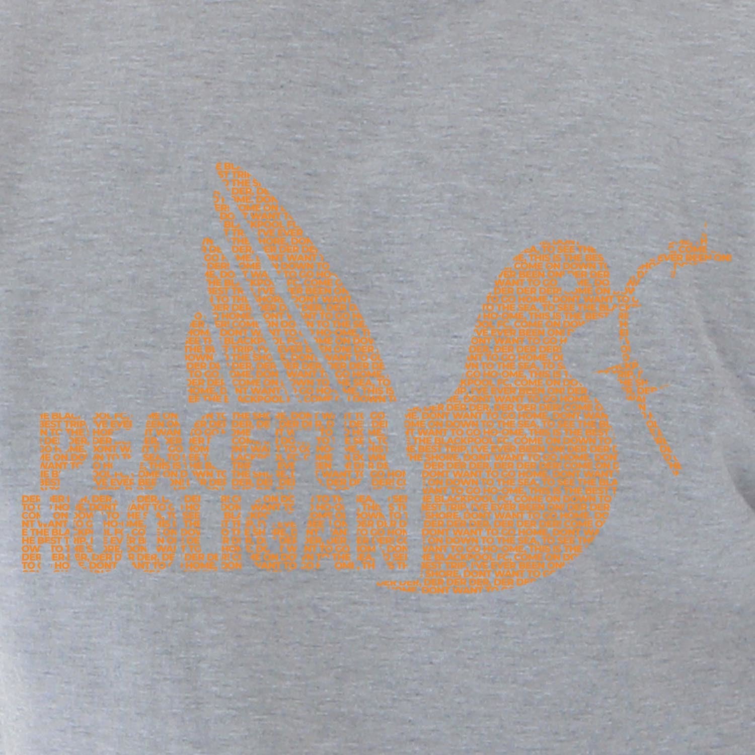 PODDOVEBLACKPATHLSWTMRLGREYBUND_Marl_Grey_Blackpool_FC_Dove_Sweatshirt_2
