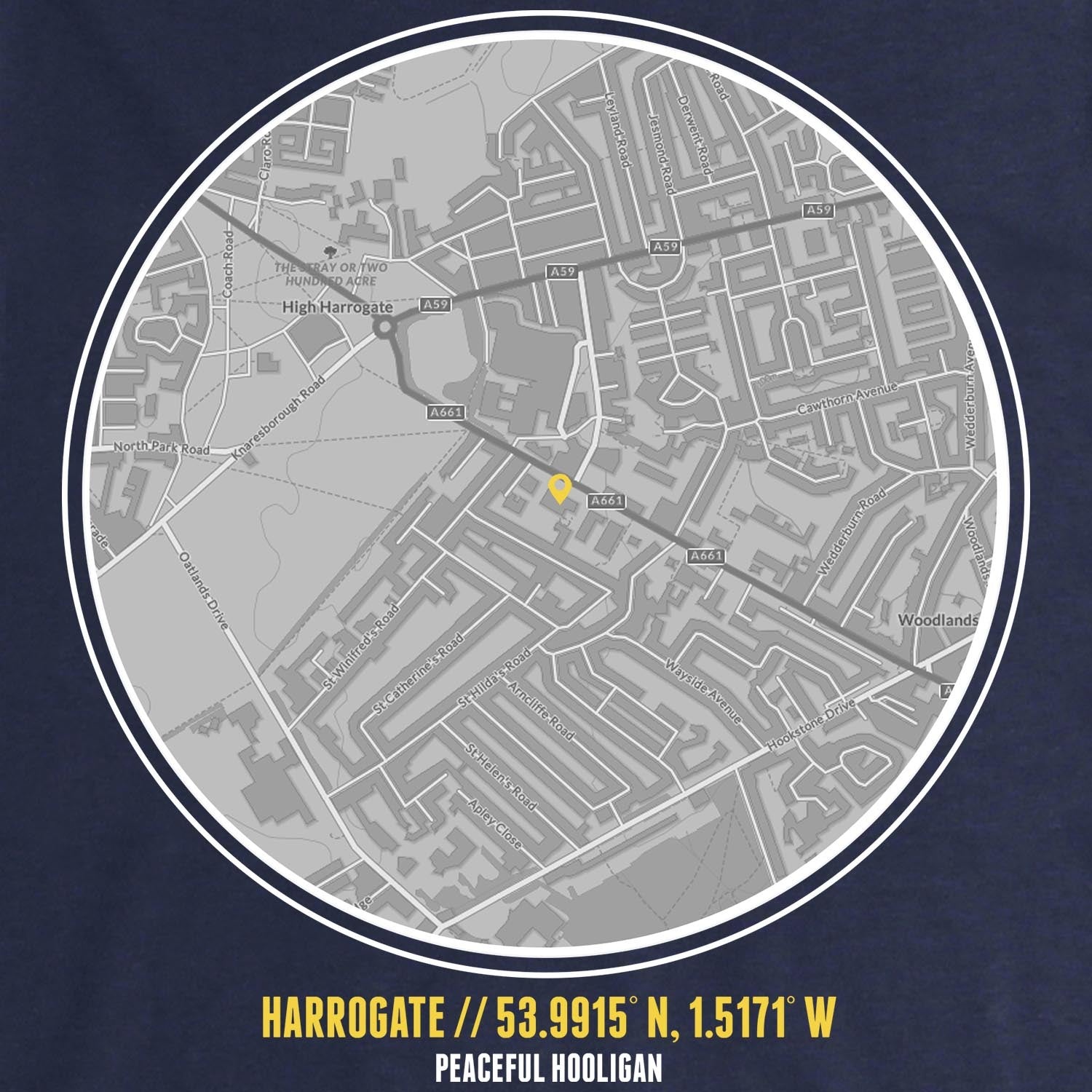 PODLOCATIONHARROGATWNATHLOTHHODNVYBUND_Navy_Harrogate_Town_Location2