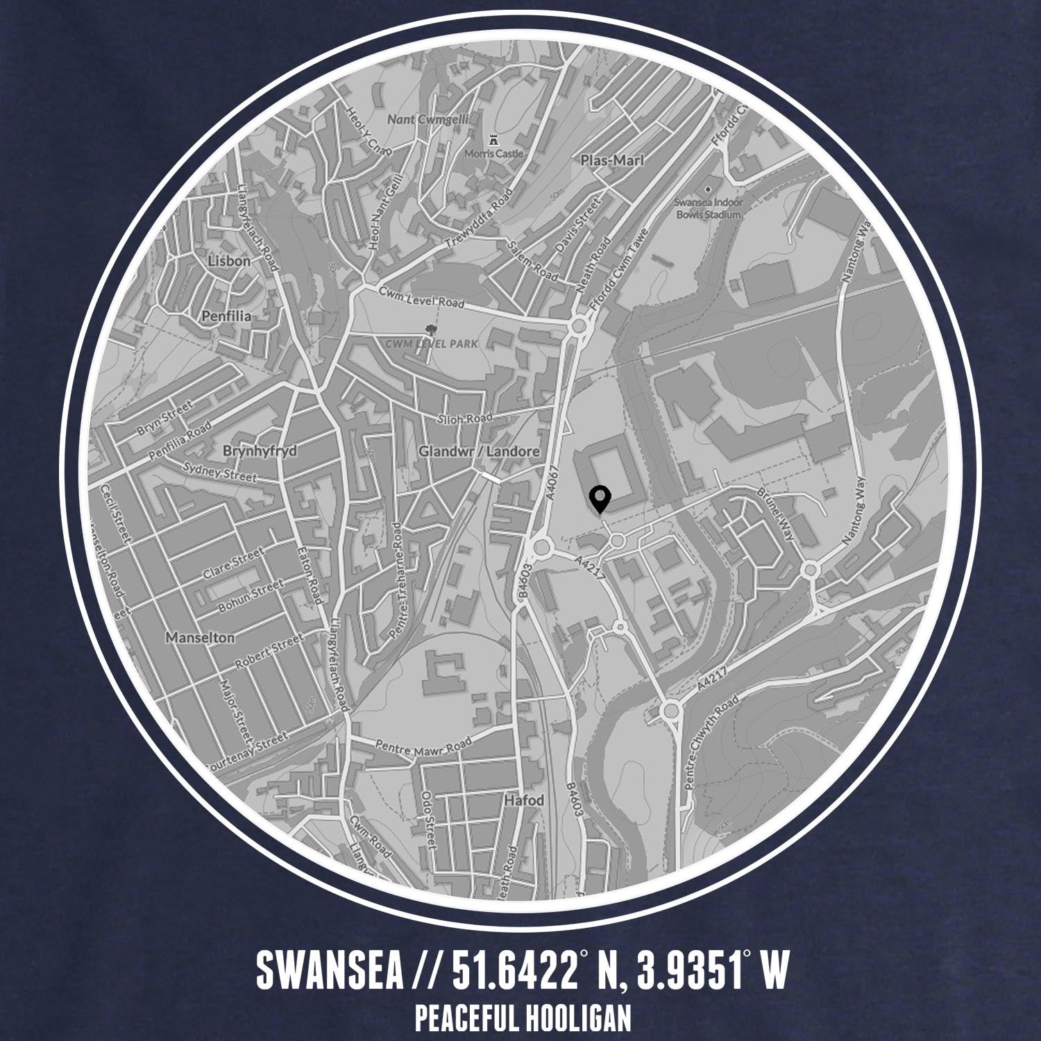 PODLOCATIONSWANSEACATHLSWTNVYBUND_Navy_Swansea_Location2