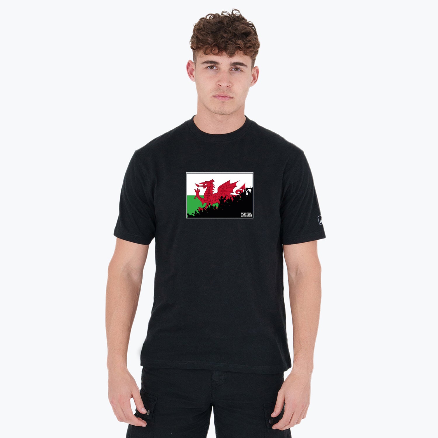 Wales Fanatics T-Shirt Black - Peaceful Hooligan 
