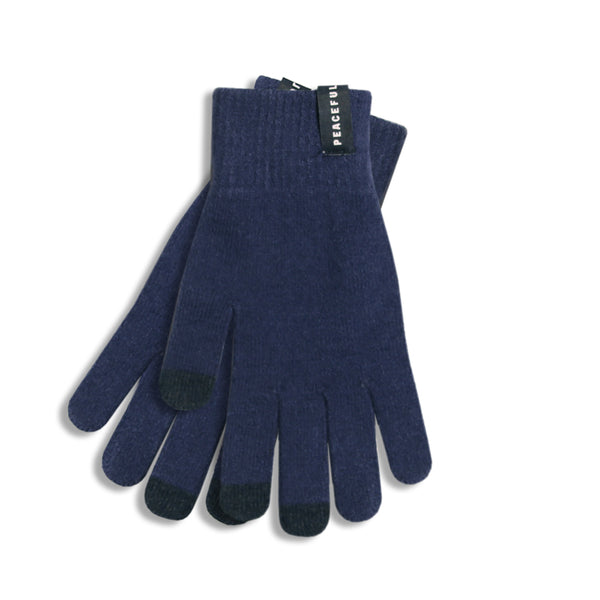 Alpine Gloves Navy - Peaceful Hooligan 
