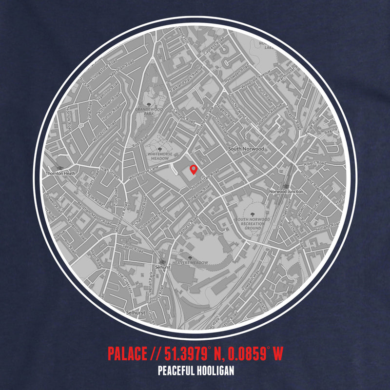 Palace T-Shirt Print Artwork Navy - Peaceful Hooligan 